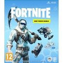 Fortnite: Deep Freeze Bundle