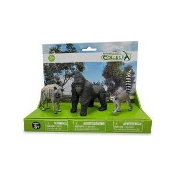 CollectA COLLECTA Figure SET OF 3 WILD ANIMALS IN PACK (88566, 88831, 88899)