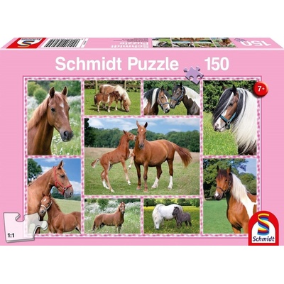 Schmidt Nádherní koně 150 dielov