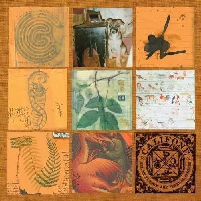Califone - All My Friends Are Funeral Singers (2 LP) (0656605132815)