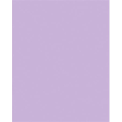 FOLIA Декоративен картон, двустранен, 50x70cm, 220 g, 10 листа, FOLIA, люляк 61221031 (61221031)