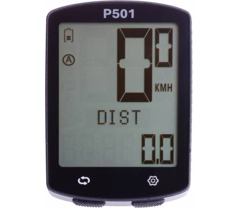 Profil P501