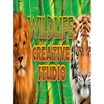 The Wildlife Creative Studio