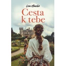 Cesta k tebe