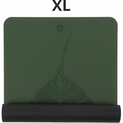 Bodhi Phoenix – Hledejceny.cz