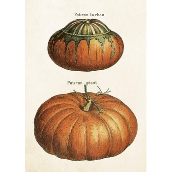 Přání Pumpkins