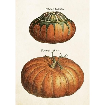 Přání Pumpkins