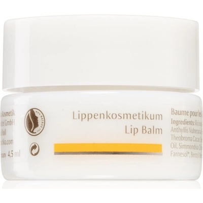 Dr. Hauschka Eye And Lip Care балсам за устни с подхранващ ефект 4.5ml