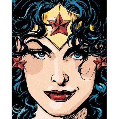 Zuty Wonder woman přebal komiksu 40 x 50 cm vypnuté plátno na rám