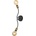 Jupiter 1879