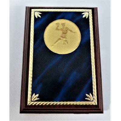 VIZINGR Házená muž plaketa H122-G181-7 H122-G181-7/15 cm