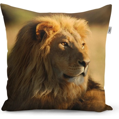 Sablio vankúš Lev 3 50x50