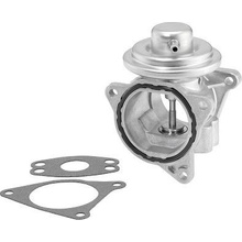 AGR-Ventil BorgWarner (Wahler) 7496D