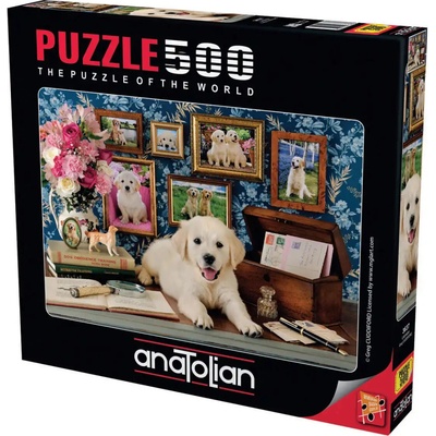 ANATOLIAN Labrador 500 dílků