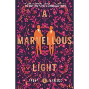 A Marvellous Light (ISBN: 9781250831798)