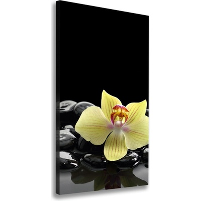 Vertikálny foto obraz na plátne Orchidea a kamene 50x100 cm
