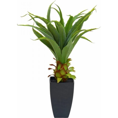 Agave kaktus s květináčem, 75 cm