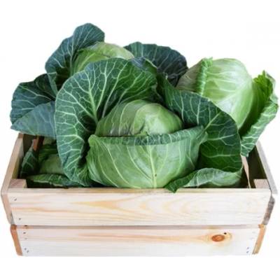 Прясно Зеле