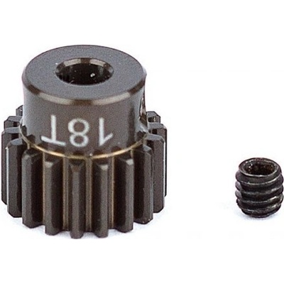 Associated Pastorek 18 zubů modul 48DP Factory Team