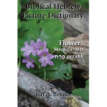 Biblical Hebrew Picture Dictionary