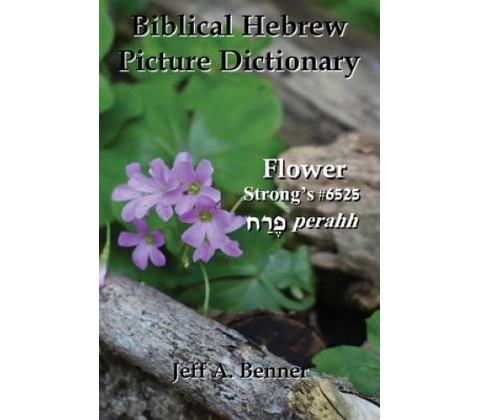 Biblical Hebrew Picture Dictionary