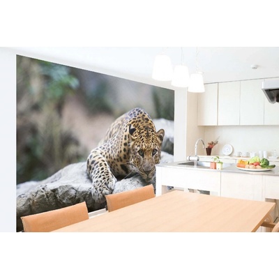 Dimex MA-5-0606 Samolepicí vliesová fototapeta na zeď Leopard na skále rozměry 375 x 250 cm