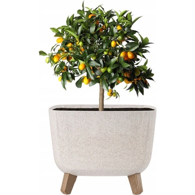 Prosperplast Květináč 29 x 29 x 22 cm plast bílý