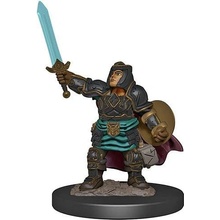 D&D Miniatures: Icons of the Realms Dwarf Paladin Female