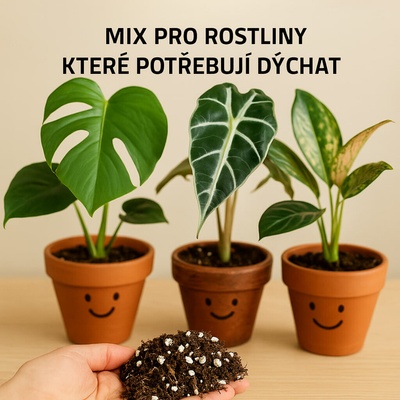 Mix č. 1 Pro pokojovky, které potřebují vzduch mezi kořeny – Zboží Dáma