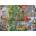 Cobble Hill - Puzzle Birds of the Season - 1 000 piese