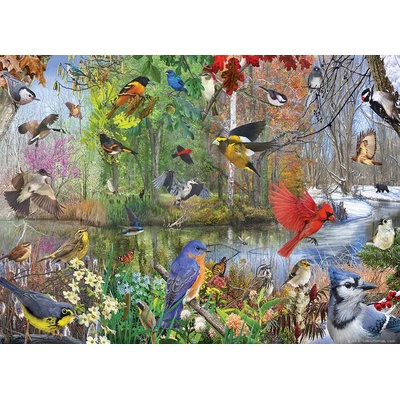 Cobble Hill - Puzzle Birds of the Season - 1 000 piese