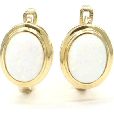 Pattic náušnice zlaté CA227004Y
