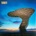 Thunder - All The Right Noises (2 LP) (4050538610390)
