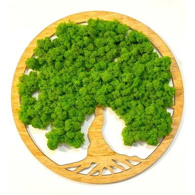 Machový obraz - Strom života Veľkosť rámu: 50cm
