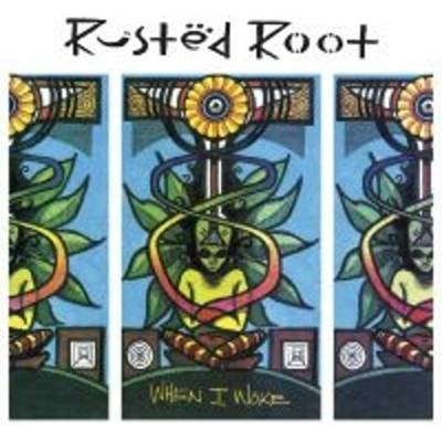Rusted Root When I Woke 2 LP
