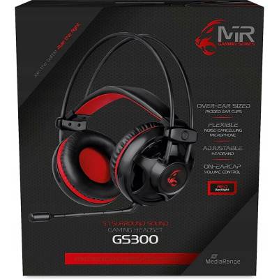 MediaRange MRGS300