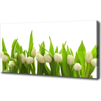Foto obraz na plátne do obývačky Biele tulipány 100x50 cm