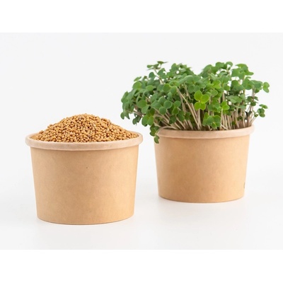 Tiny Greens Bílá hořčice Frosty - BIO semínka na klíčení a microgreens Množství: 100g