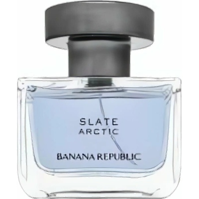 Banana Republic Slate Arctic parfémovaná voda pánská 100 ml