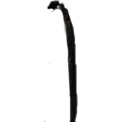 Sušená mořská řasa Kelp, 1 ks, hnědá