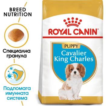 Royal Canin Cavalier King Charles Puppy - за кучета Кавалер Кинг Чарлз на въраст от 2 до 10 месеца 1.5кг