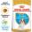 Royal Canin Cavalier King Charles Puppy - за кучета Кавалер Кинг Чарлз на въраст от 2 до 10 месеца 1.5кг
