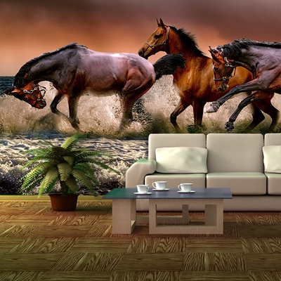 Tapeta SABLIO Koně ve vodě, rozměry 336x220 cm