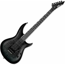 ESP LTD H3-1000FR