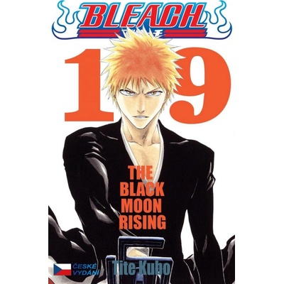 Bleach 19 – Kubo Tite