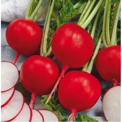 Reďkovka Riesenbutter - maslová obria - Raphanus sativus - semená reďkovky - 100 ks