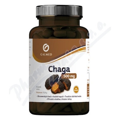 Galmed Chaga 500mg 90 kapsúl