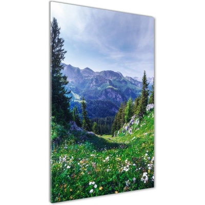 Vertikálny foto obraz fotografie na skle Alpy 50x100 cm