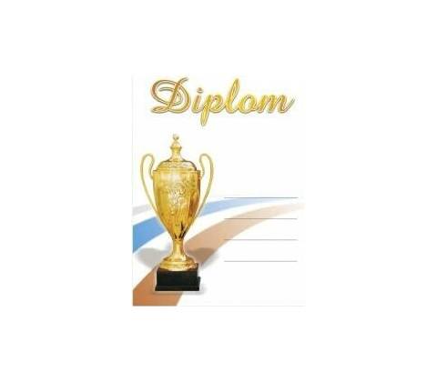 Diplom 6690