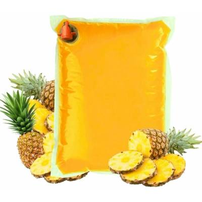 Sadvit Tropical Pineapple 100% 5 l